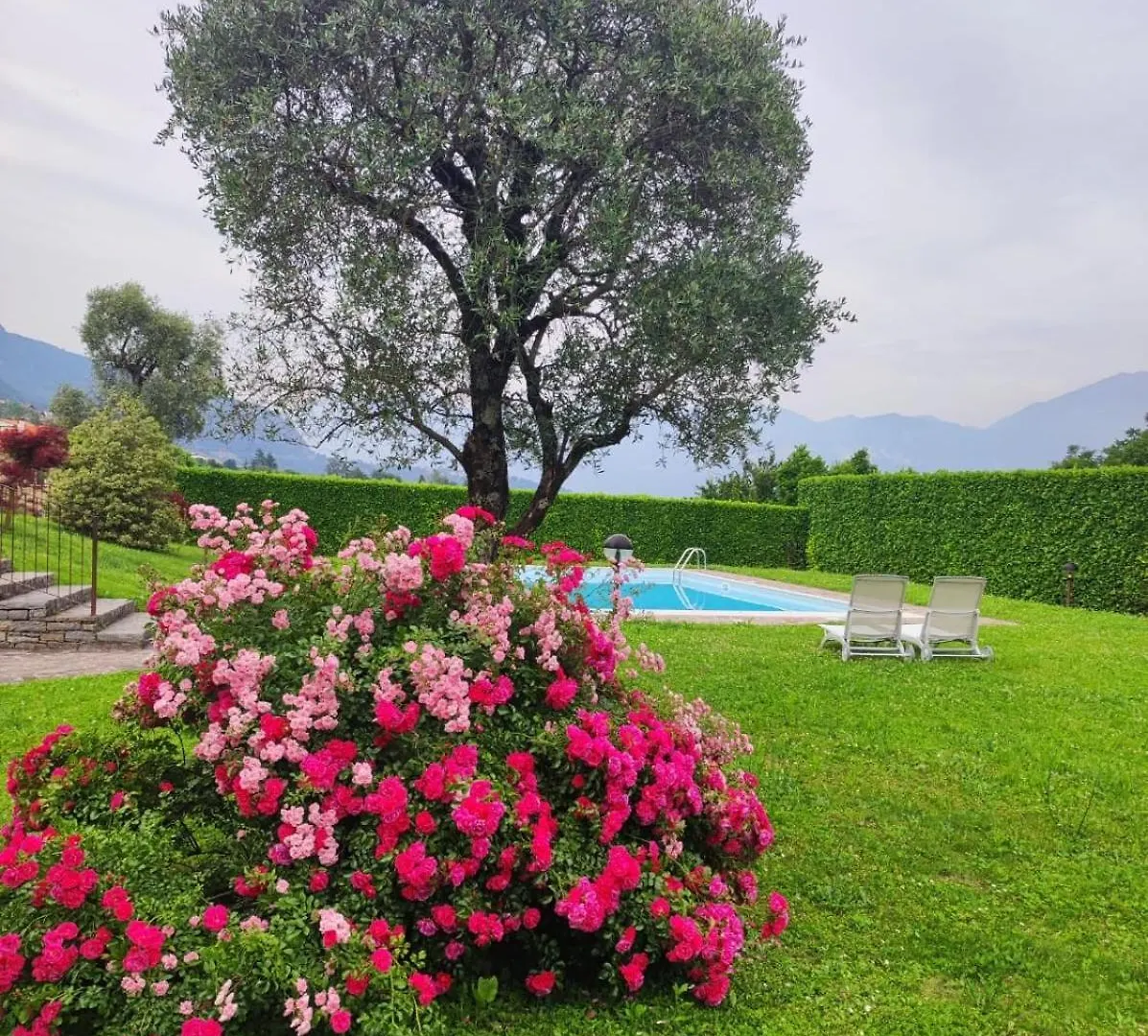 Alba Sul Lago Lenno Italien